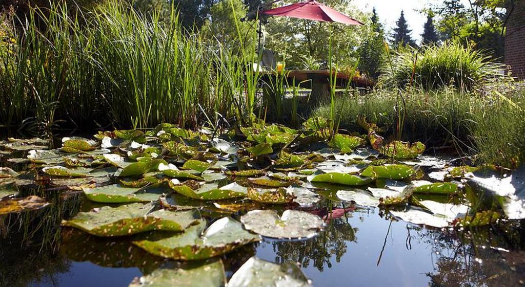 Hotel Waldblick Deppe Lippstadt Zewnętrze zdjęcie